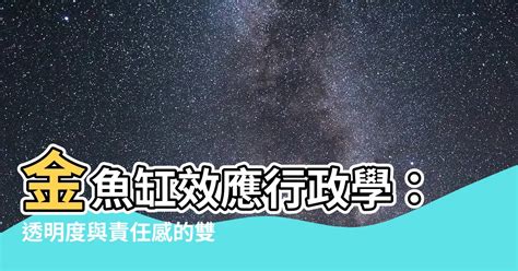 金魚缸效應行政學|金魚缸效應：行政透明新趨勢